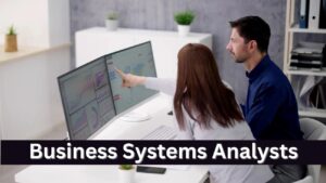 Business Systems Analyst