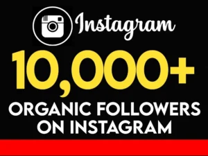 buy 10000 Instagram followers