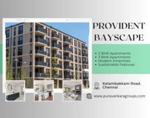 Provident Bayscape