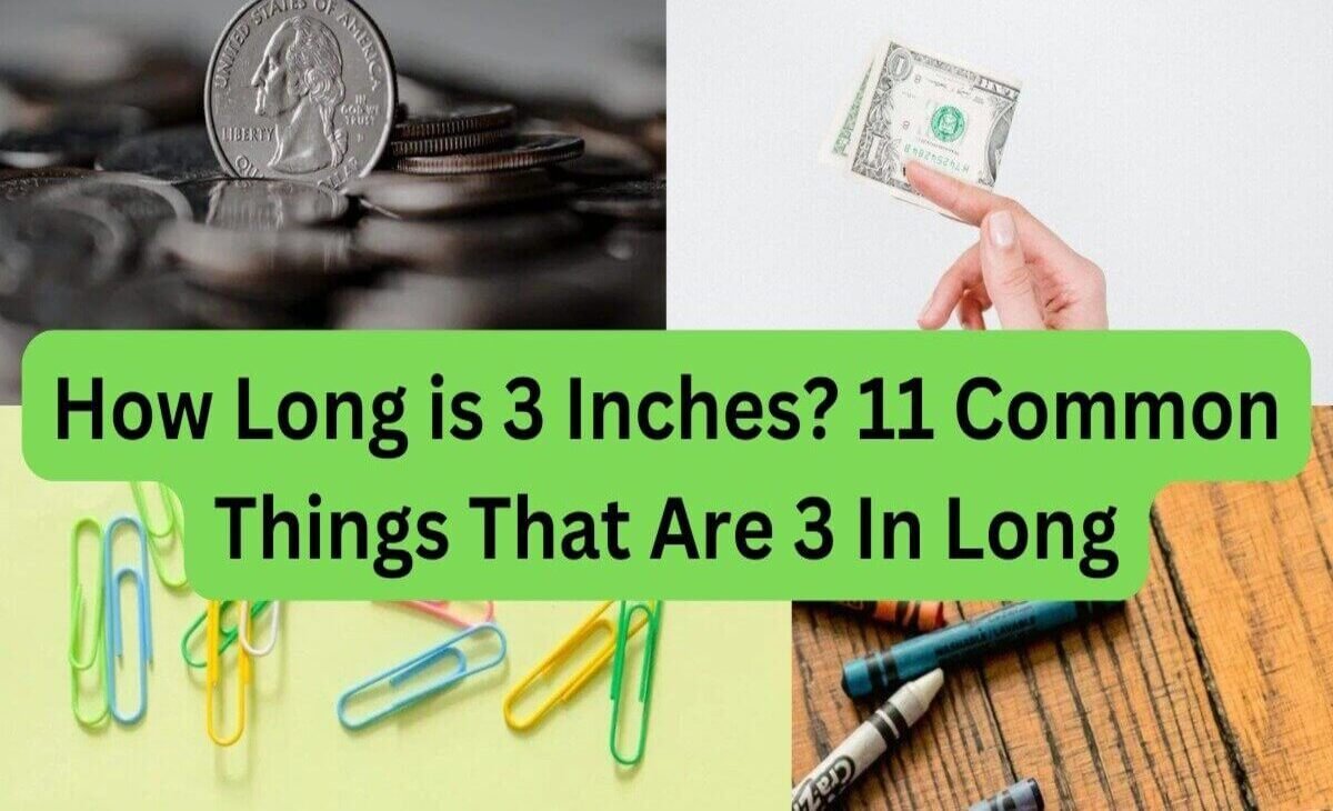 how long is 3 inches