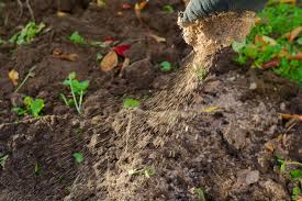 organic fertilizer for  Calgary