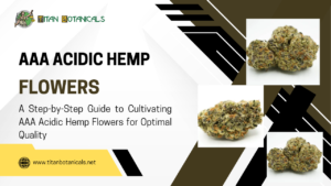 AAA Acidic Hemp Flowers