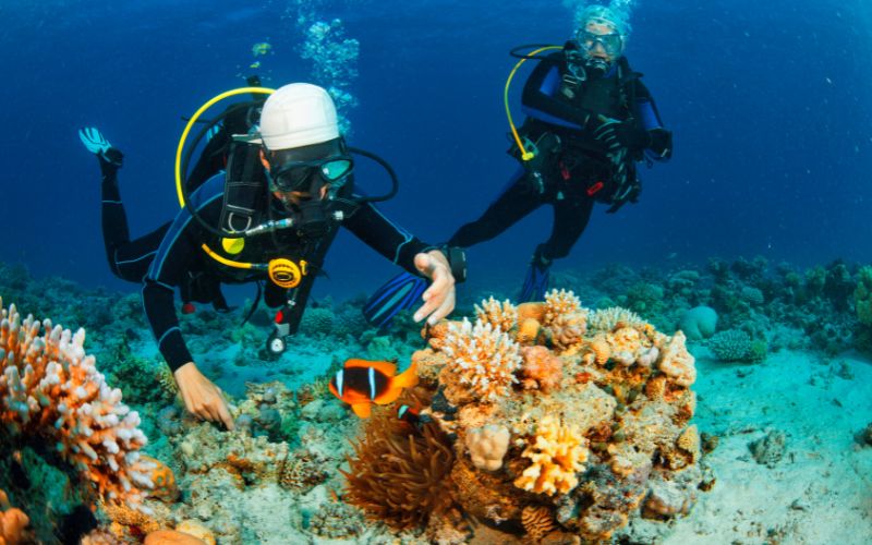 Dive Sites in Seychelles