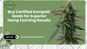 Buy Certified Kompolti Seeds