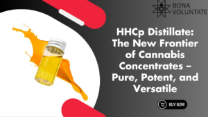 HHCp Distillate