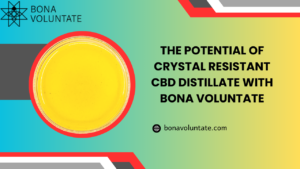 Crystal Resistant CBD Distillate